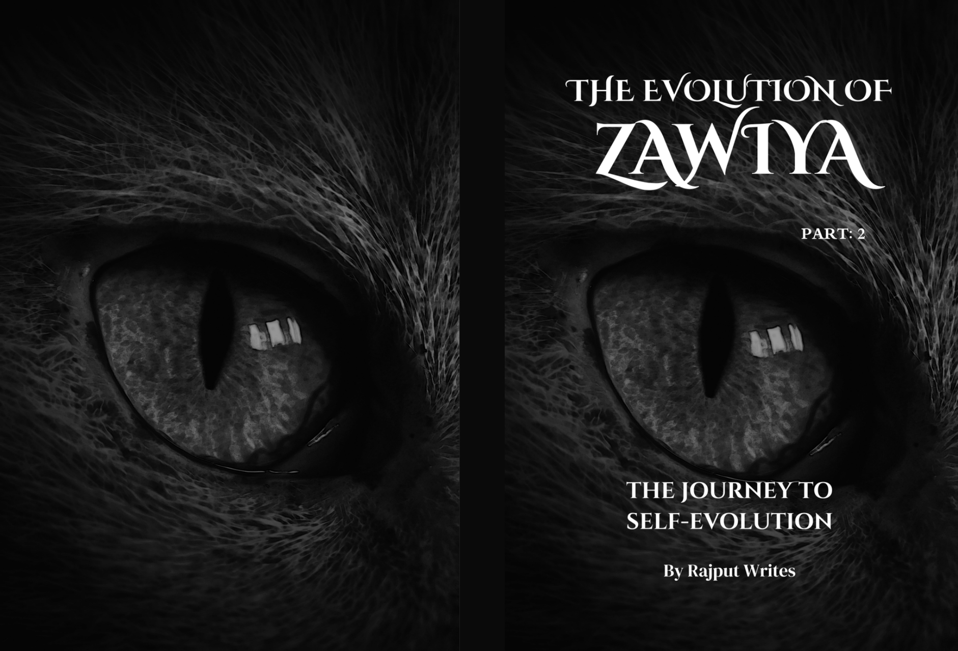 the evolution of zawiya (part 2)